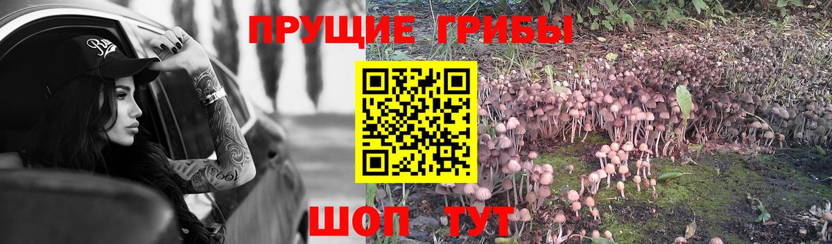 Псилоцибиновые грибы MAGIC MUSHROOMS Белогорск