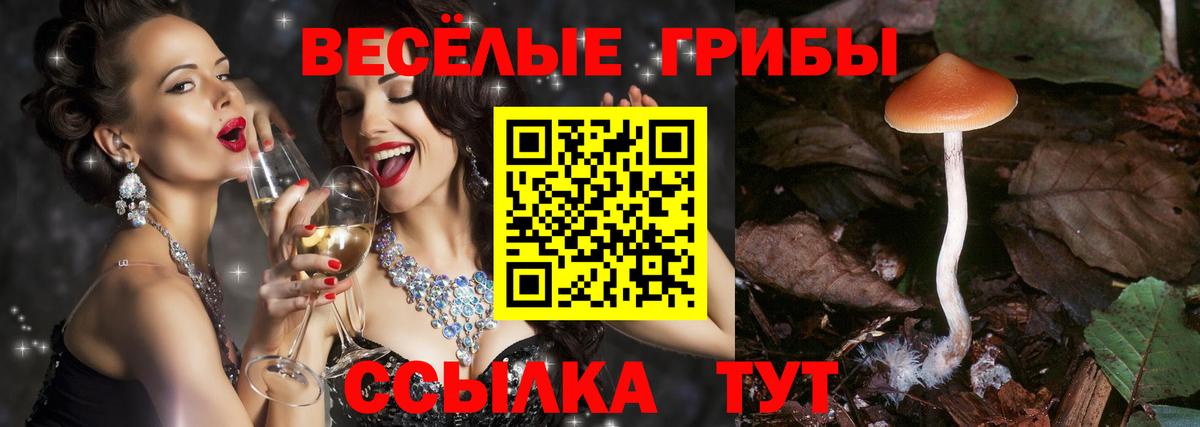 где продают   Галлюциногенные грибы прущие грибы  Вход с VPN  Белогорск  Псилоцибиновые грибы прущие грибы 